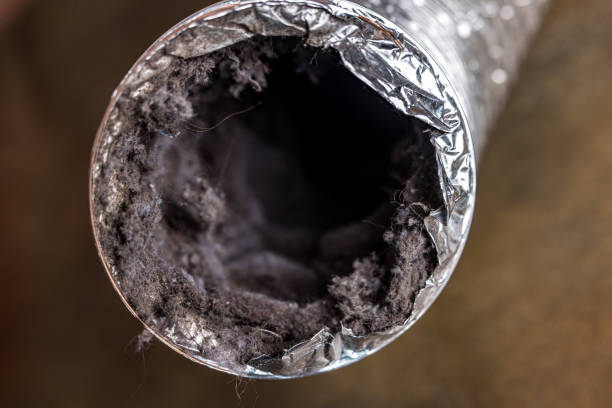 Best Air Duct Cleaning Near Me  in Bethalto, IL